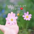 남진가수: 우수 줄포 장수식당에서~♡♡♡ 이미지