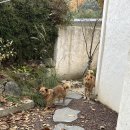 서른시