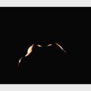 사진작가반 이미지