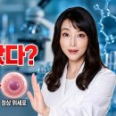 암으로 변하기 직전, NMN을 투여했더니..세포에 놀라운 일이 벌어졌습니다! 이미지