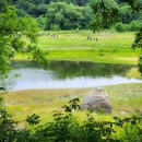 01-6 동구 이미지