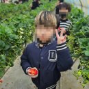 용인대힘찬나래태권도 이미지