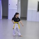 용인대 정무태권도장 이미지