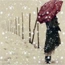 생(生) 이미지