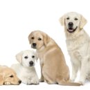 아이엠치과병원 이미지