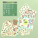 한반도솔숲쉼터 이미지