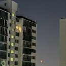 0603새벽달 ㅡ 0605그믐달 이미지