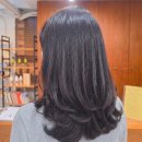 헤어스티지 | 강남 복구펌 미용실에서 중단발 레이어드 C컬펌 했당