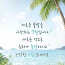 오늘