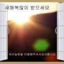숙이농원 - 용인시 처인구 보개원삼로1924번길 5 | 숙이농원