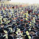 원복농장 이미지