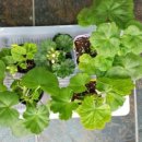 나눔민박 이미지