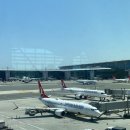 하나항공투어 | 터키항공 무료 투어 프로그램 후기 / 투어이스탄불 (TourIstanbul)