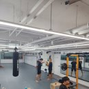 코리안탑팀 강서 이미지