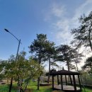 미암면사무소 | 전남 영암군 기찬자연휴양림 야영장 데크 5번 사용 후기 240330