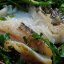 신환홍어 이미지