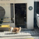 샤뜰리에 | 샤뜰리에 화실에서 만난, 붓 잡는 순간의 설렘
