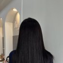 쌀롱드바이림