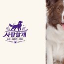 사랑할개 이미지
