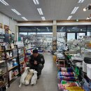 삼육상사 이미지