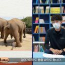 잡아시아