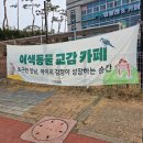 10용사로 | 동탄 실내동물체험 키워볼래 서동탄역 근처 아이랑갈만한곳 실내동물원 다녀온 후기