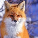 화성반월중학교 이미지