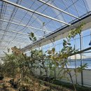 영광농장 이미지