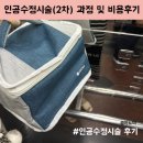 수정-75 | [임준-4] 인공수정시술(2차) 과정 및 비용 후기