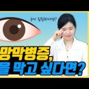 당뇨망막병증 증상 검사, 치료 등 총정리 이미지