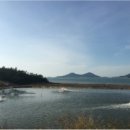 잉꼬농장 이미지