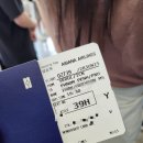 739 | 아시아나 체크인 수하물무게 스프레이 기내식 OZ739 OZ740 후기