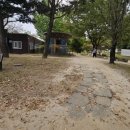 신안평거녹지 이미지