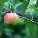 티하우스키즈펜션 이미지