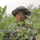 산들블루베리푸드