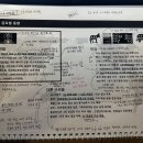 [이노소셜랩] 지속가능경영보고서는 왜 쓰는가?(교육 후기)