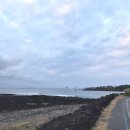 남태해안로 이미지