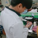 히트 치과기공소 네이버블로그
