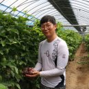 김해농장2 이미지