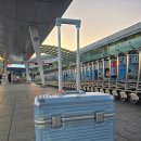 (주)리드메드 | 기내반입 캐리어 리드볼트, 경사로에서도 안심 브레이크 바퀴 후기