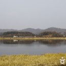 6 이미지