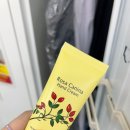앤센스 커피 로스터스 | 카메스시 총본점 / 아와지시마 우즈오노카 기념관&amp;타카무라 커피 앤 로스터스 팩토리 후기 / 내돈내산 후기