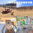 뛰뛰멍 이미지