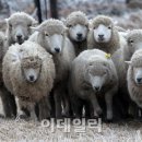 상서목장 이미지