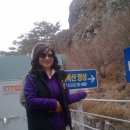 충무 1 Daum카페