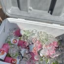 경희대 국가대표 청룡 태권도장 이미지