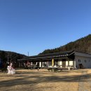 수피아 | [홍천] 애견동반펜션 팔봉수피아 내돈내산 후기 비발디파크 숙소 추천