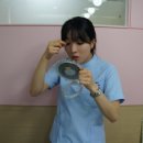 성효꼬마김밥 이미지