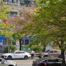 서울행정 사무소 | 안산출입국외국인사무소 조사 후기