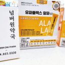 알파오메가약국 이미지